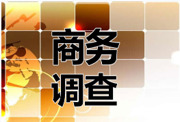 广州市私人调查